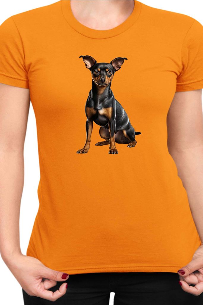 Damen T-Shirt Dogs Breeds Miniature Pinscher Dog Breed 006, Lady XS / Orange