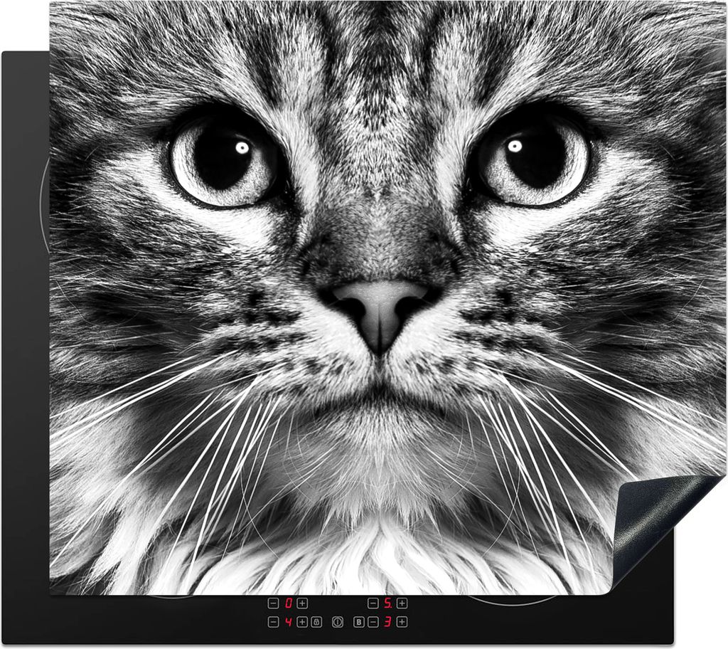 KitchenYeah Herdabdeckplatte Nahaufnahme einer Katze mit großen Augen - schwarz und weiß , 60x52cm, Küche Deko, Glaskeramikkochfeld Herdabdeck...