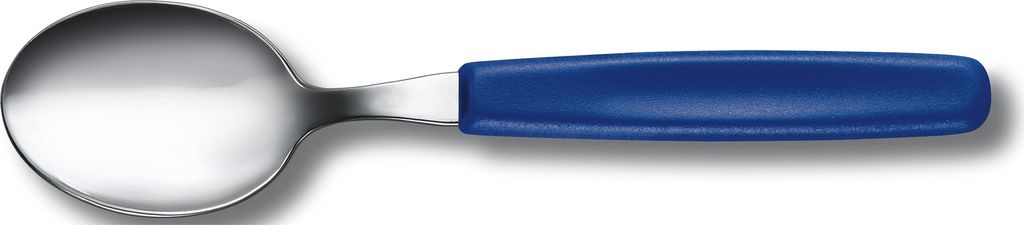 6 Stück Victorinox Tafellöffel Esslöffel Set Edelstahl Blau