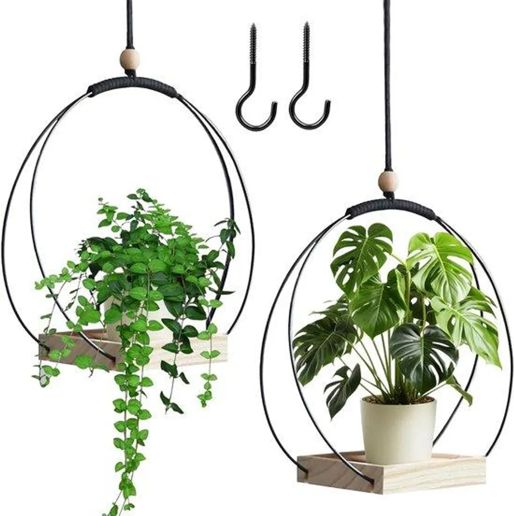 Anneau pour plantes avec socle bois robuste - Support métal design