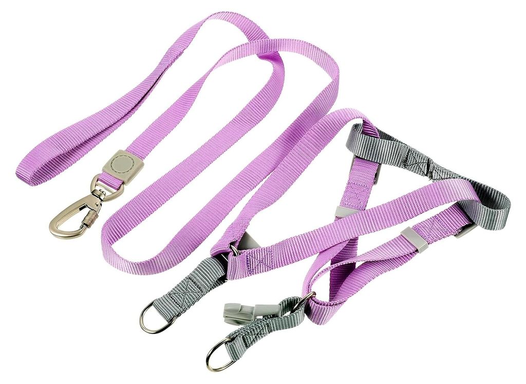 Hundegeschirr Set mit Leine für kleine Hunde, ausbruchsicheres Geschirr und Hundeleine für das Training