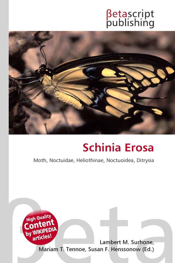 Schinia Erosa
