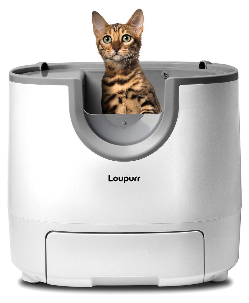 Loupurr Automatische Katzentoilette, offenes Design, für Produktbild 