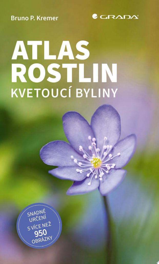 Atlas rostlin : kvetoucí byliny | Bruno Kremer