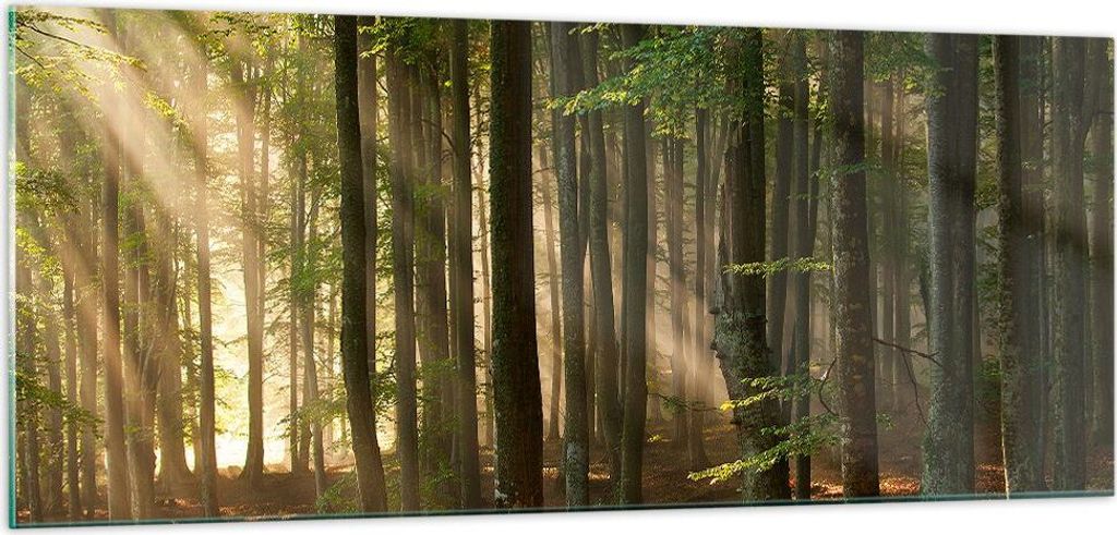 Bilder auf glas - Wald Baum Natur - 100x40cm - Glasbilder - Wandbilder - Kunstdruck - zum Aufhängen bereit - Wanddekoration aus Glas - Glas Bilder...