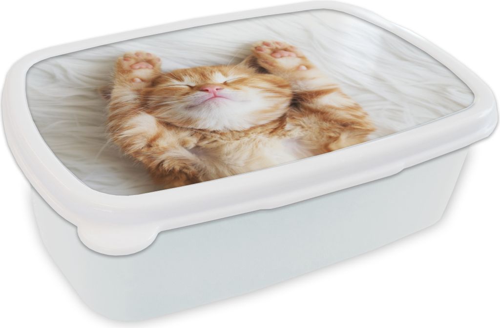 KitchenYeah Lunchbox Brotzeit Brotdose 17x11 cm Katze - Rot - Haustiere - Kätzchen Kinder Brotzeitdose - Lunch Box - Kinder - Sandwich-Box - Sch...