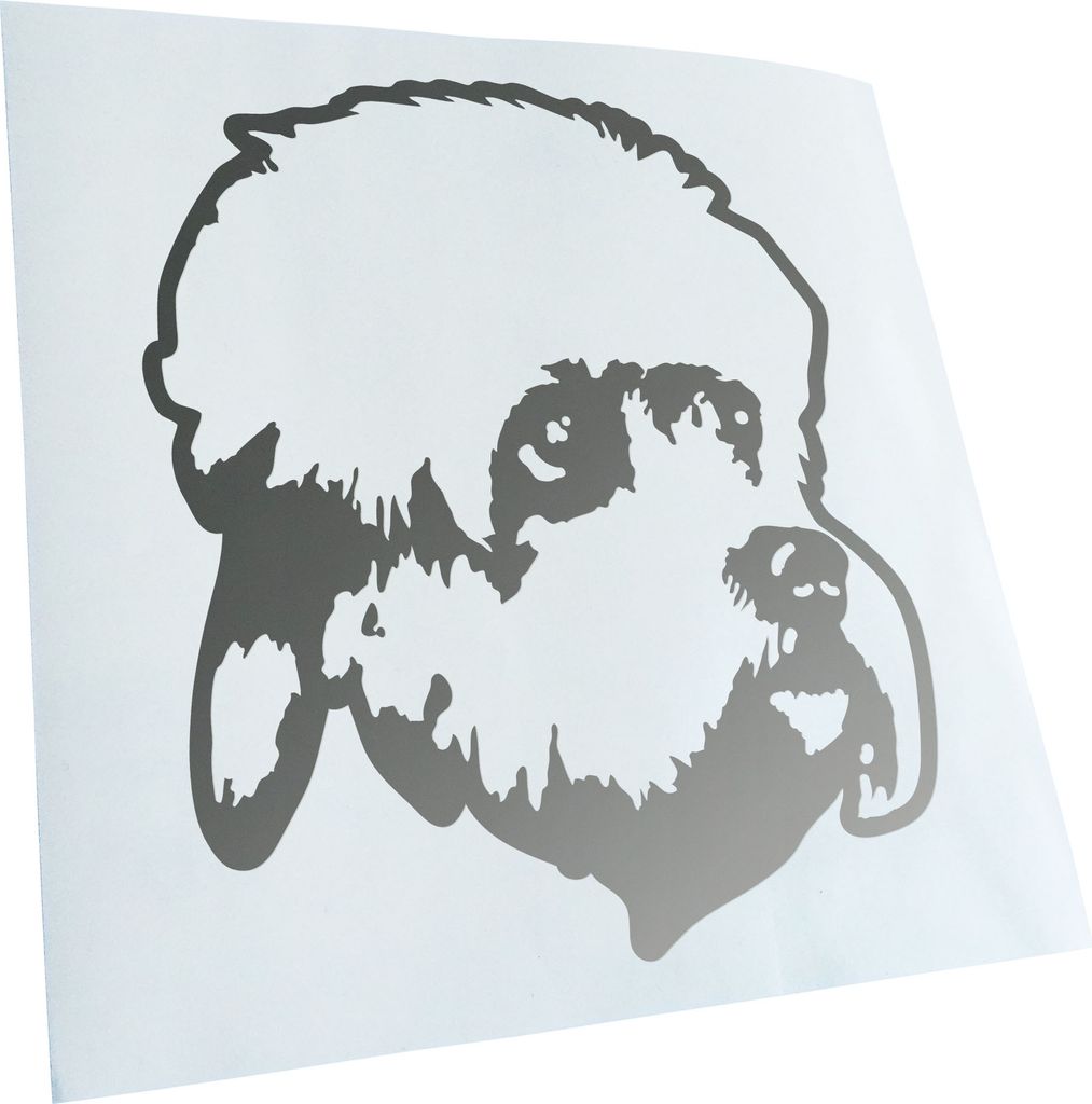 Kiwistar - Autoaufkleber - dandie dinmont terrier Hund - Silber - 50x45cm - Aufkleber für Auto, Laptop, Fahrrad, LKW, Motorrad mehrfarbig JDM Deca...