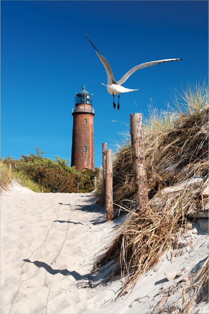 Wallario Poster - Möwe am Strand mit Leuchtturm, Kunstdruck Größe: 61 x 91,50 cm