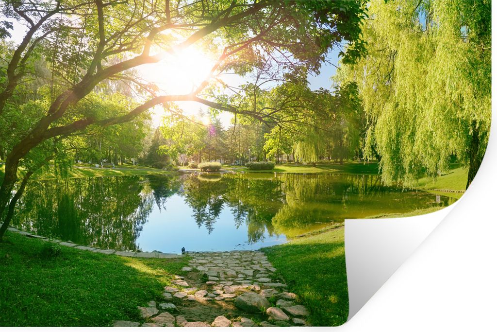 MuchoWow Wandtattoo Wandsticker Wandaufkleber Bäume - See - Sonne - Gras - Natur 90x60 cm Selbstklebend und Repositionierbar - Aufkleber