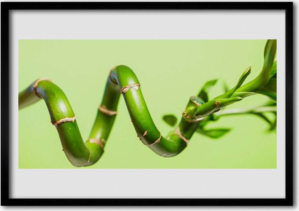 Bild 70x50 MDF-Rahmen Wandkunst Bambuspflanze Natur