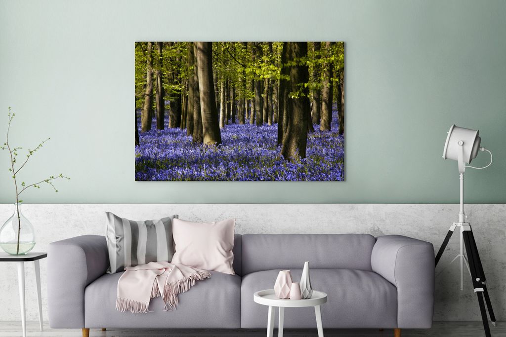 OneMillionCanvasses - Leinwandbilder - 140x90 cm, Zwischen den Bäumen liegen die violetten Blüten der Sternhyazinthe, Wandbilder Kunstdruck Wan...