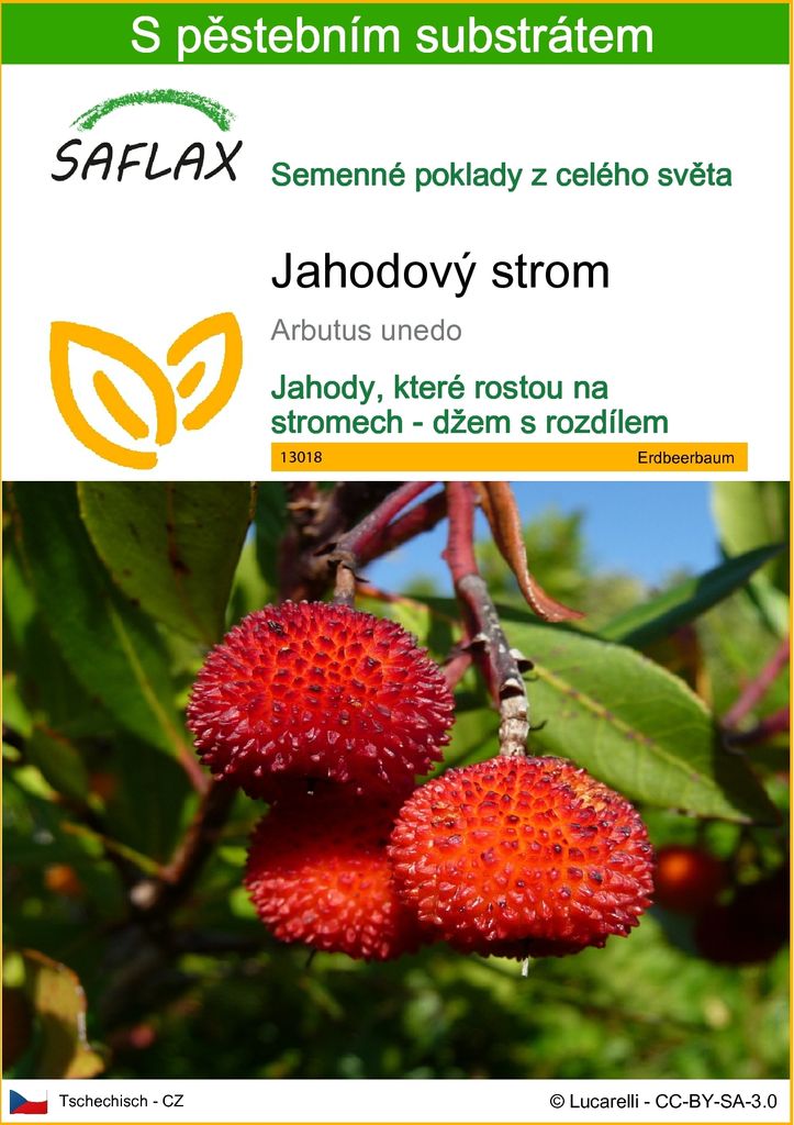 SAFLAX - jahodový strom - Arbutus unedo - 50 Semena - S Obrázek produktu 