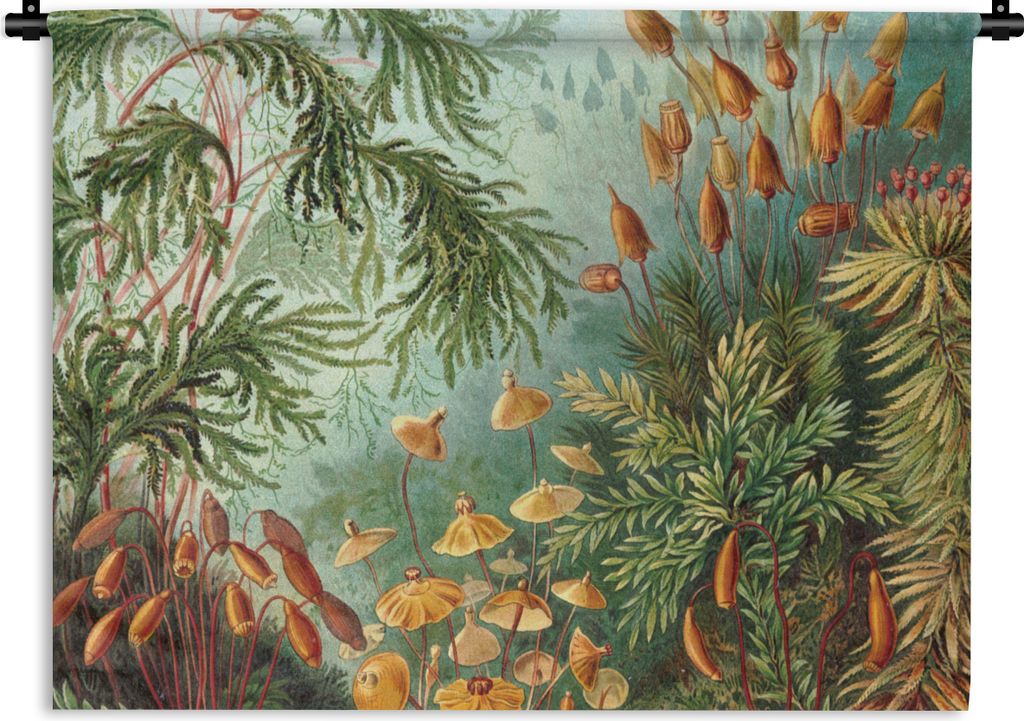 MuchoWow Wandteppich Wandbehang Alte Meister - Kunst - Muscinae - Haeckel 60x45 cm Tapisserie Dekoration Wandtuch - Das Schlafzimmer
