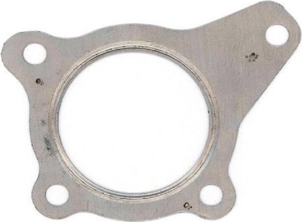 ELRING 244.560 Auspuffdichtung Auspuffdichtung für VW GOLF VI (5K1)