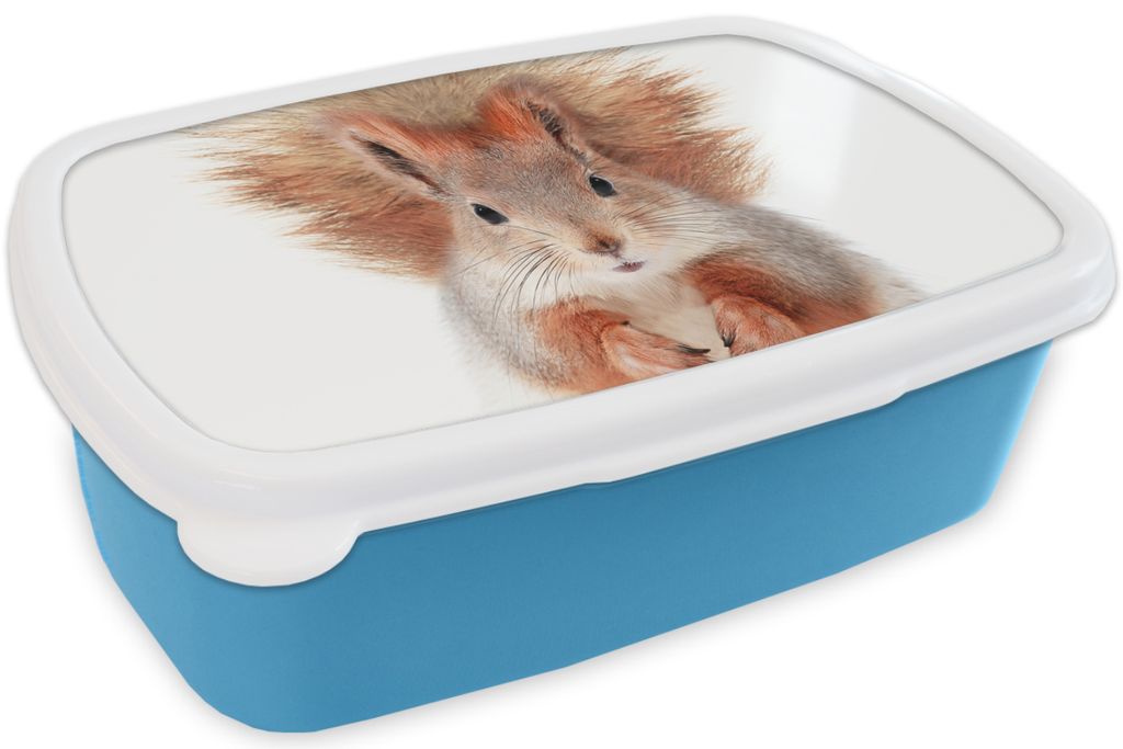 KitchenYeah Lunchbox Brotzeit Brotdose 17x11 cm Eichhörnchen - Tiere - Natur - Orange - Weiß Kinder Brotzeitdose - Lunch - Kunststoff - Brotb...