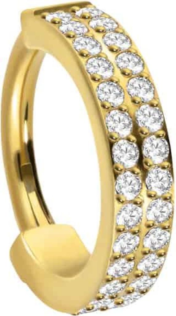 Ohrpiercing, Nasenpiercing, Septum Piercing Titan Segmentring Clicker ZWEI EINGEFASSTE KRISTALLREIHEN Gold Innendurchmesser: 10 mm