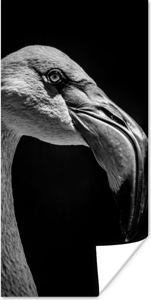 MuchoWow Poster Tierporträt Flamingo in schwarz und weiß 60x120 cm - Wandschmuck