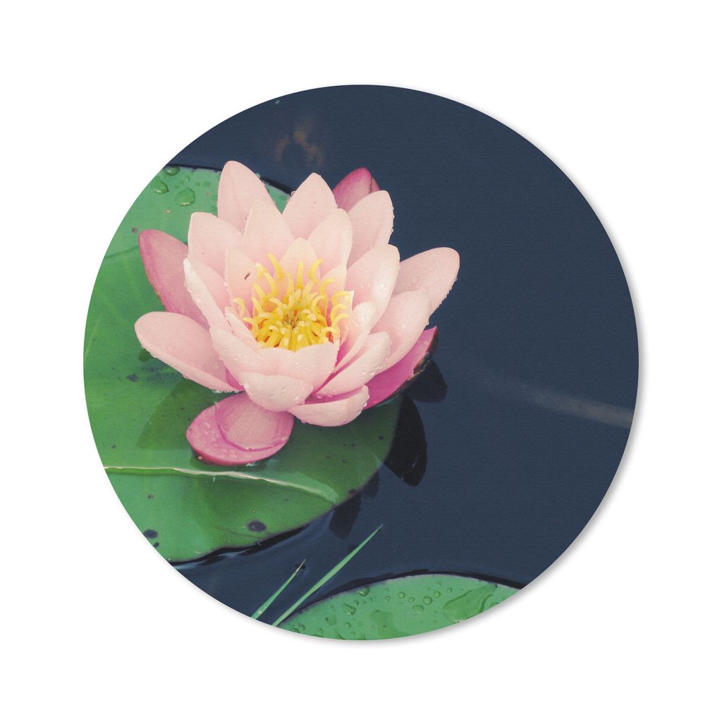 MuchoWow Mauspad Mousepad Schöne rosa Seerose 40x40 cm - Mousepads - Maus Mat - Pad - Mausunterlage - Schreibtisch Accessoires