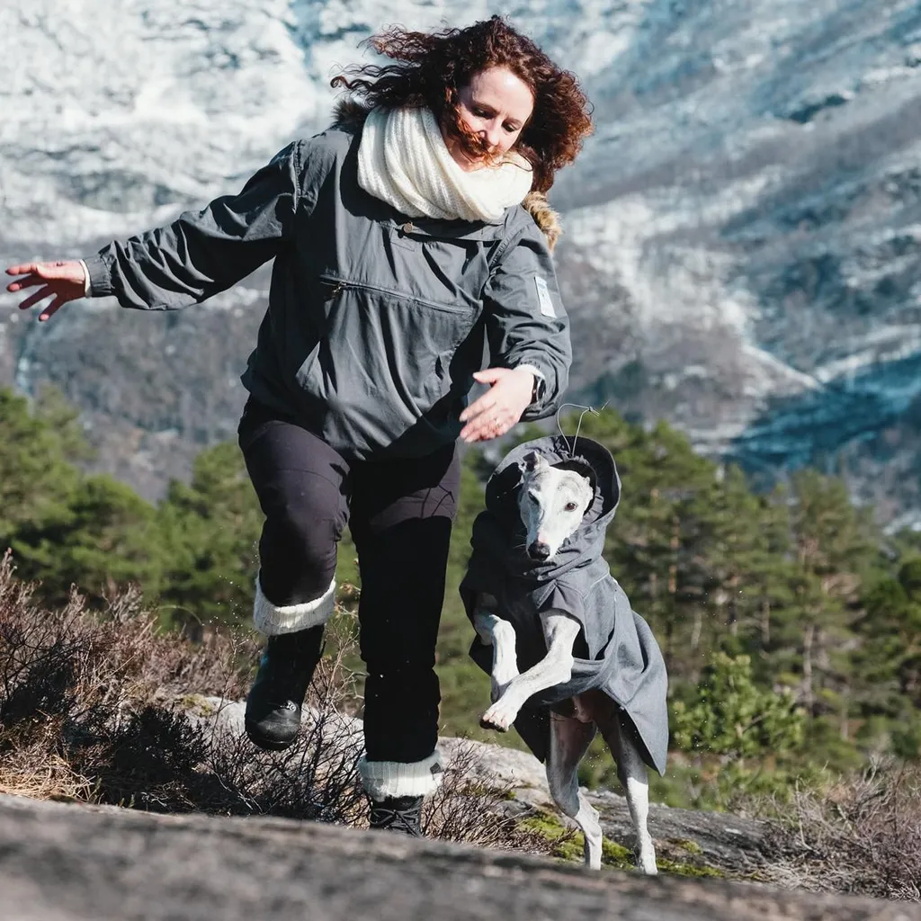 Hurtta Expedition Parka 60 Grigio: Il Top di Gamma Invernale Cane - 3