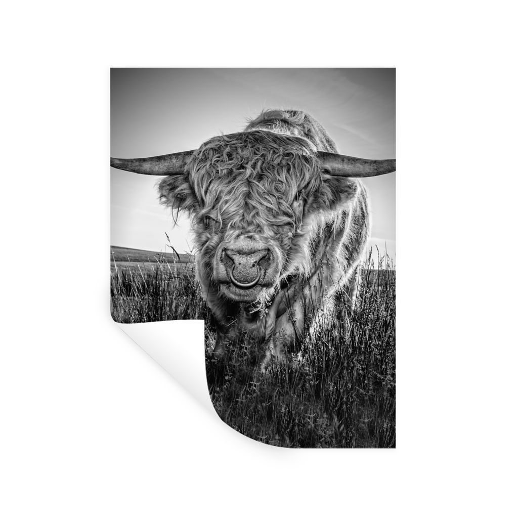MuchoWow Wandtattoo Wandsticker Wandaufkleber Schottischer Highlander - Schwarz und Weiß 30x40 cm Selbstklebend und Repositionierbar - Sticker -...