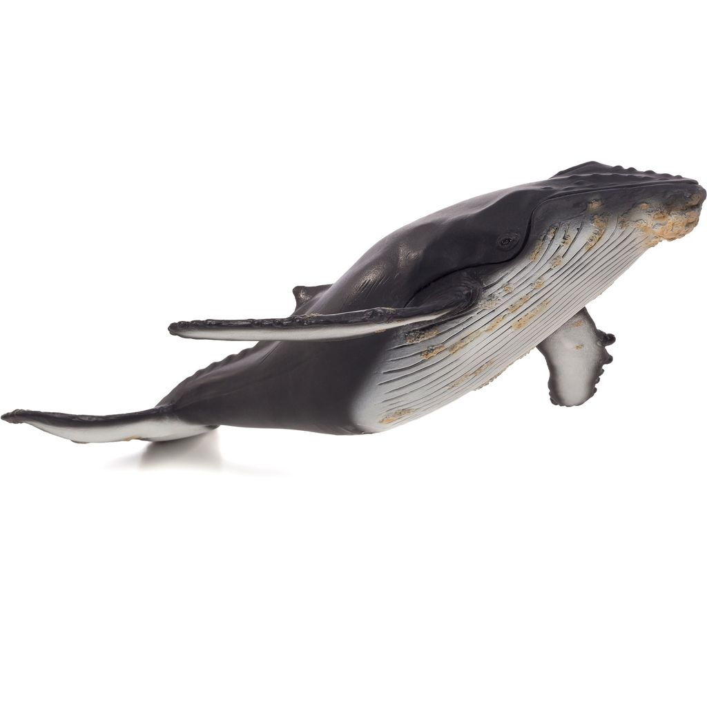 Mojo Fun Humpback Whale Large (Portugal), 3 Jahr(e), Produktbild 