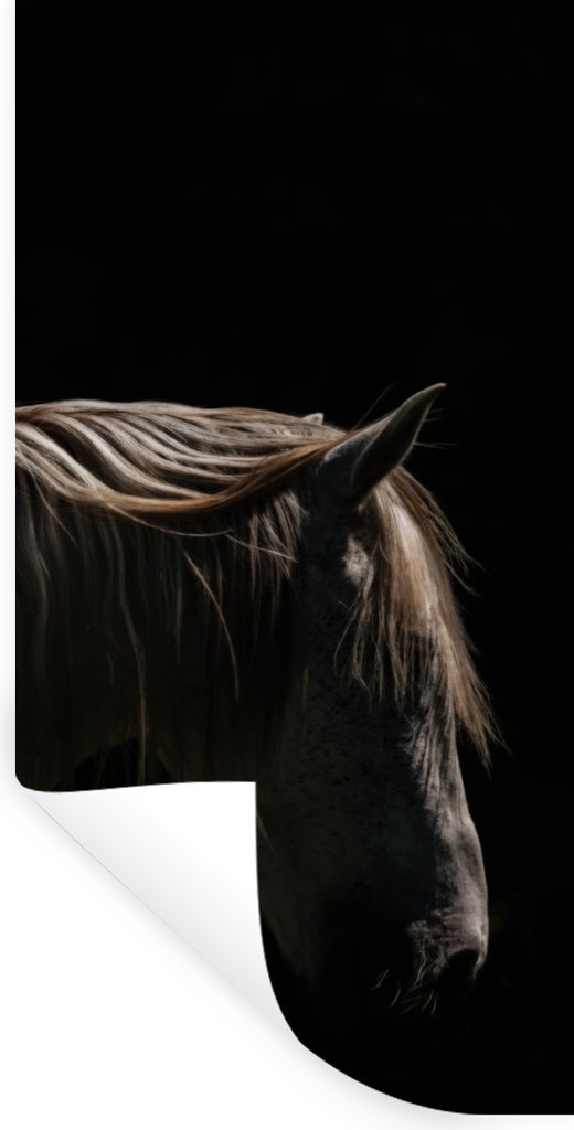 MuchoWow Wandtattoo Wandsticker Wandaufkleber Pferd - Tiere - Weiß 60x120 cm Selbstklebend und Repositionierbar - Selbstklebend - Fototapeten