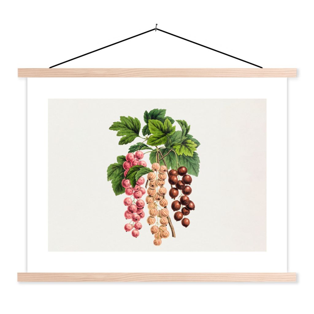 MuchoWow Textilposter Obst - Weinlese - Blätter 60x45 cm mit holzfarbenen Rahmen - Bild