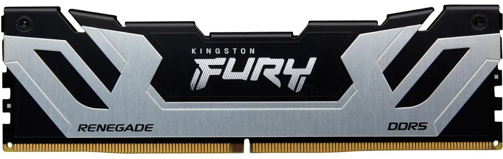 Kingston FURY Renegade DDR5 24GB 8400 CL40 Argent : Ultra Haute Vitesse