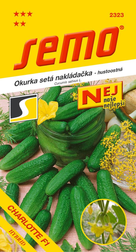 Semo GURKE ´CHARLOTTE´ F1 Produktbild 