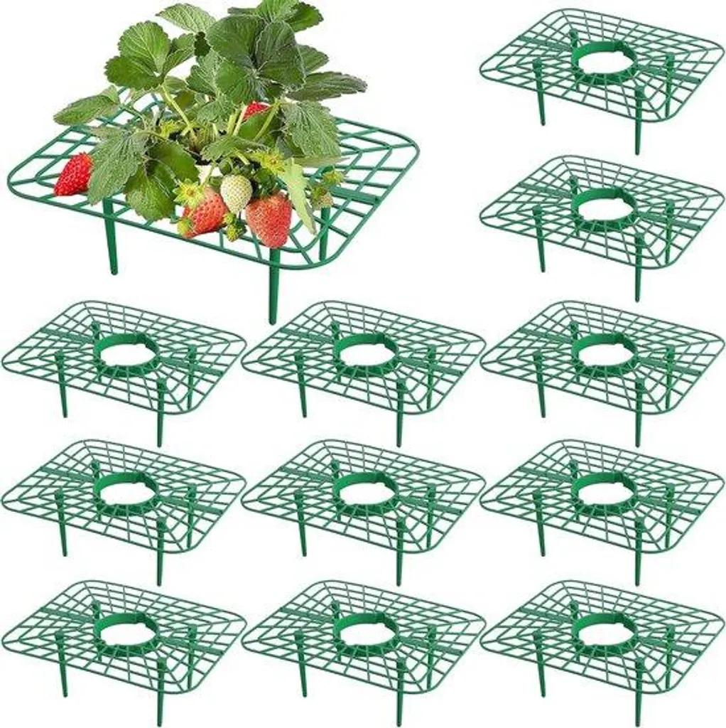 Cadres de Culture pour Fraises - Lot de 12 Tuteurs avec Grilles d'Air