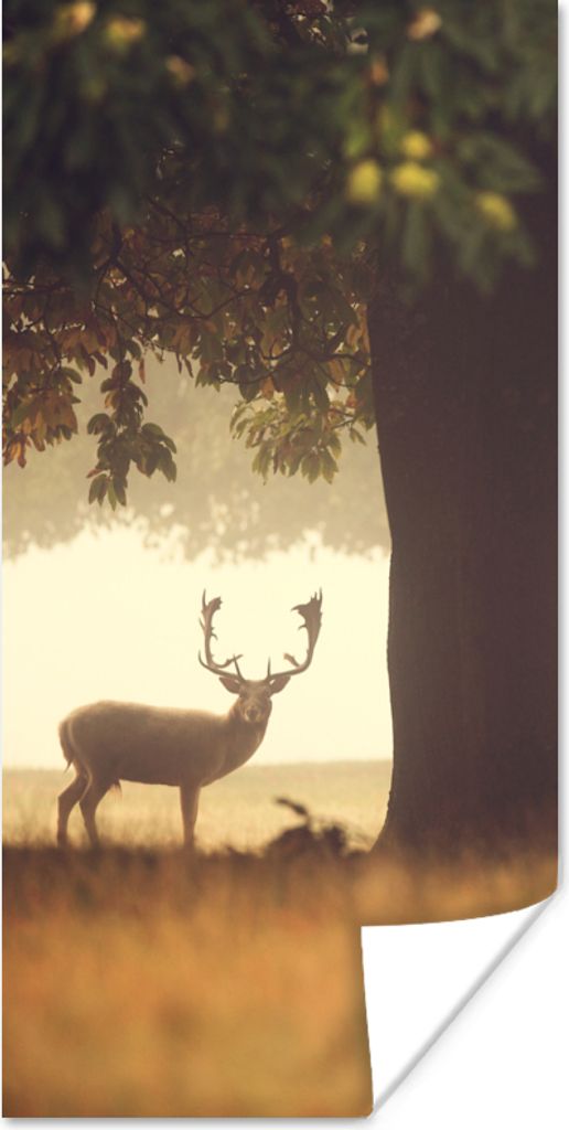MuchoWow Poster Hirsche - Bäume - Wald 40x80 cm - Dekoration