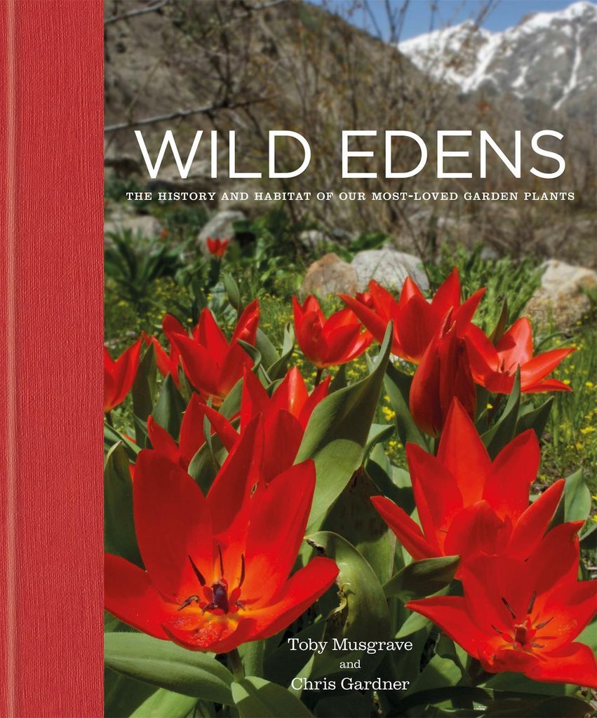 Wild Edens – Lingua: Inglese