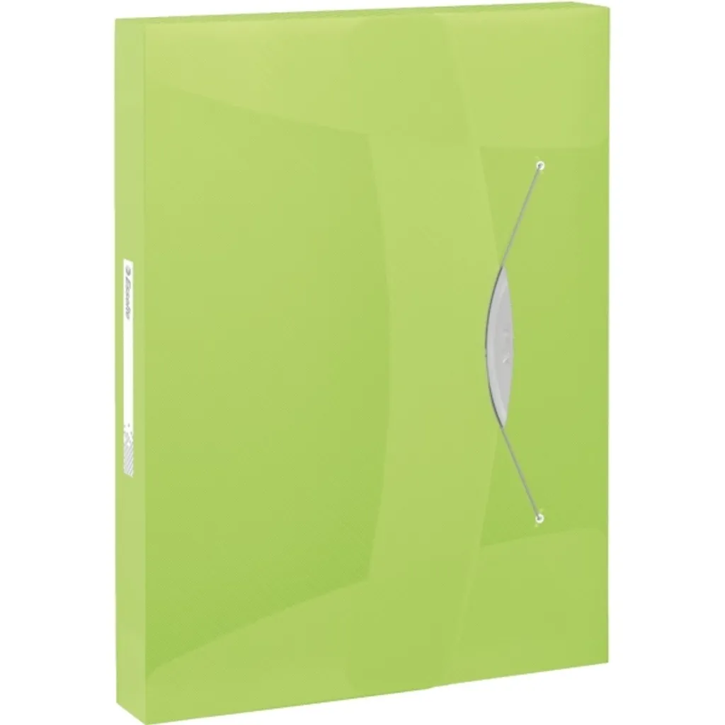 Esselte Box File A4 Green PP - Custodia Documenti Design 350 Fogli