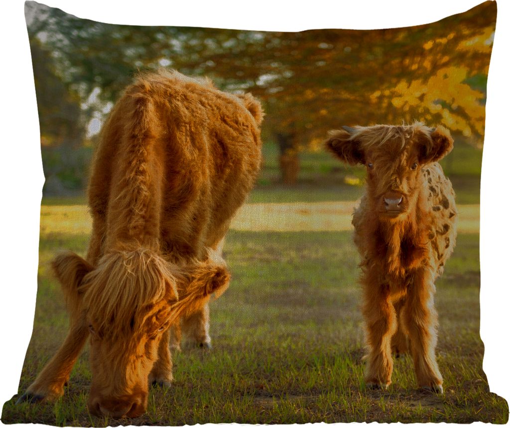MuchoWow Outdoor Kissen - Schottisches Hochlandrind - Kalb - Herbst - 40x40 cm - Wetterfest - Lounge Kissen - Kopfkissen - Interieur - Polster mi...