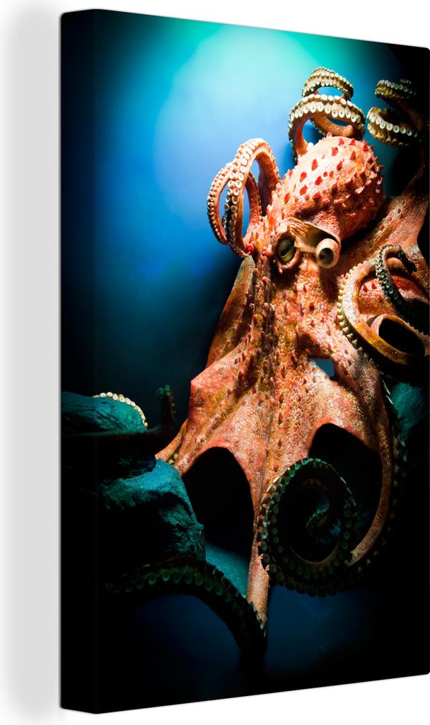OneMillionCanvasses - Leinwandbilder - 90x140 cm, Oktopus tief unter Wasser, Wandbilder Kunstdruck Wanddekoration - Wandschmucke - Schlafzimmer