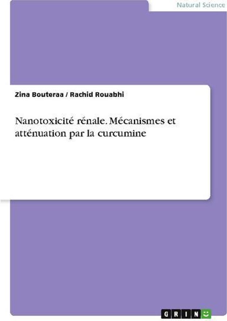 Nanotoxizität in den Nieren. Mechanismen und Abschwächung durch Curcumin