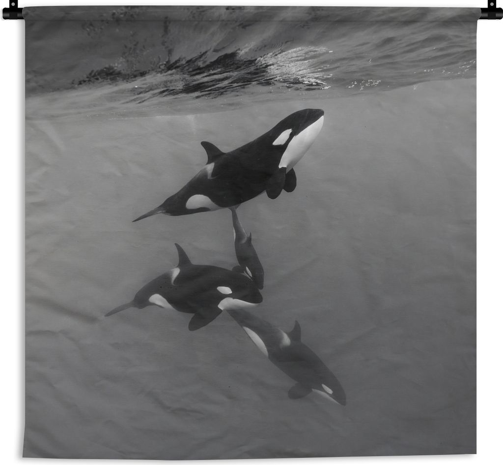 MuchoWow Wandteppich Wandbehang Orca - Wasser - Schwarz - Weiß 150x150 cm Tapisserie Dekoration Wandtuch - Wohnaccessoires - Modernes