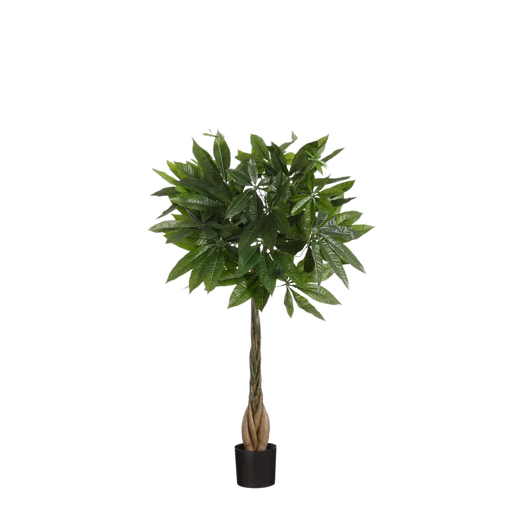 Pachira Plante Artificielle 80cm pour Salon et Décoration de Bureau