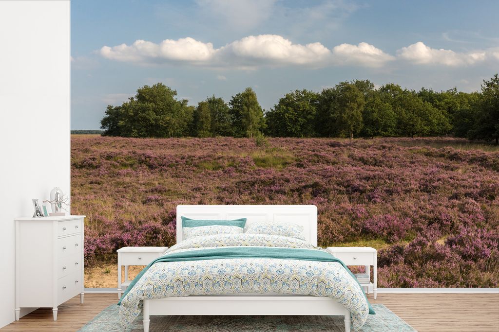 MuchoWow Fototapete für Wohnzimmer oder Schlafzimmer Wandtapete Vinyl Motivtapete Violette Heideblüten im Nationalpark Dwingelderveld in Drenth...