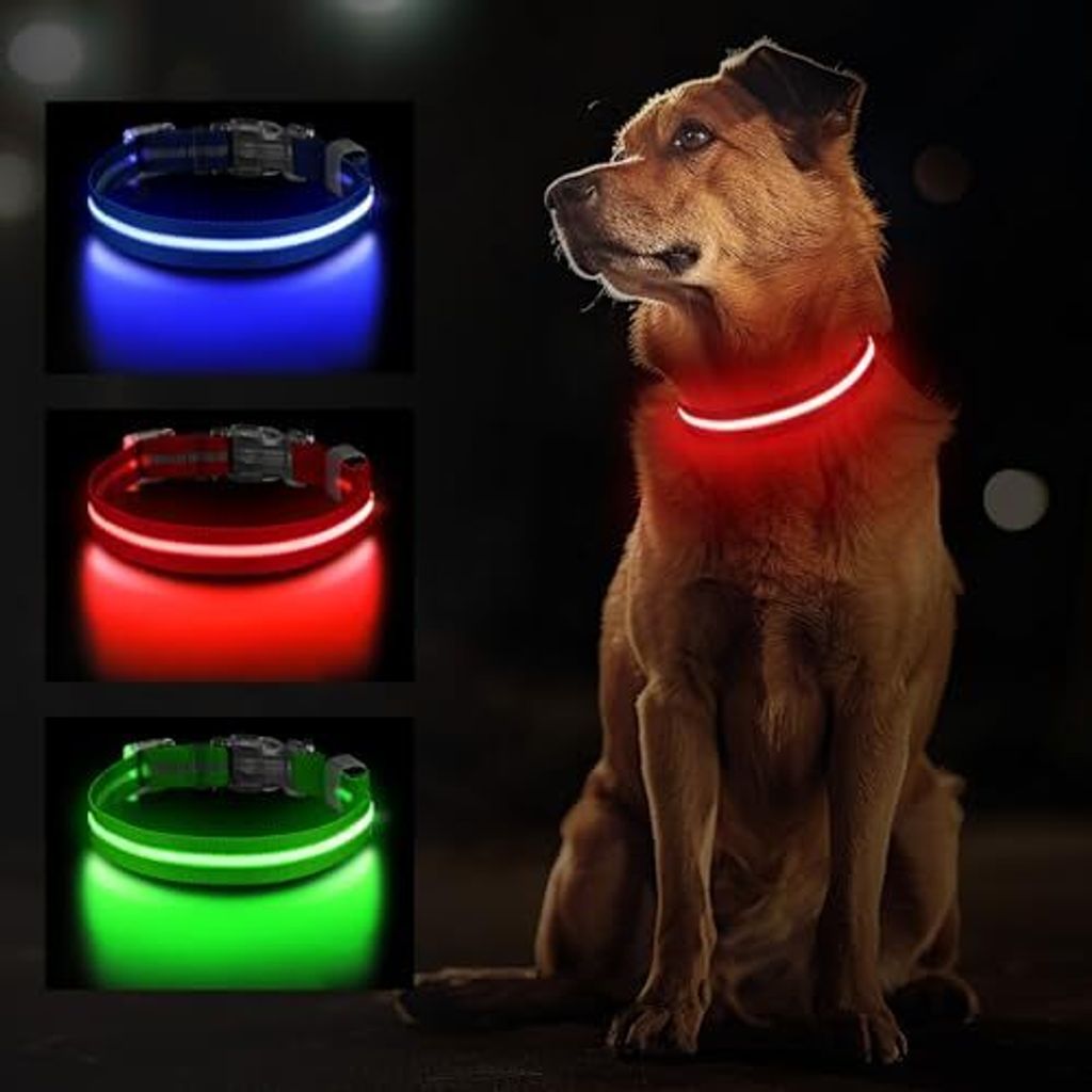 Leichter Kragenhund, wiederaufladbare LED -Hund klein, mittlere und große Hunde, einstellbare leuchtende wasserdichte, 3 Modi, rot s