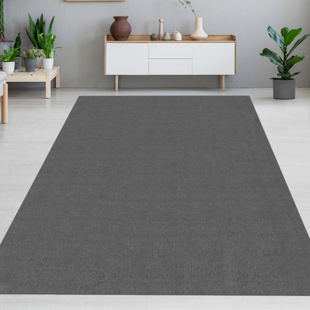 Einfarbiger Wohnzimmerteppich Modern Weich & Pflegeleicht in Anthrazit Größe - 120 x 160 cm