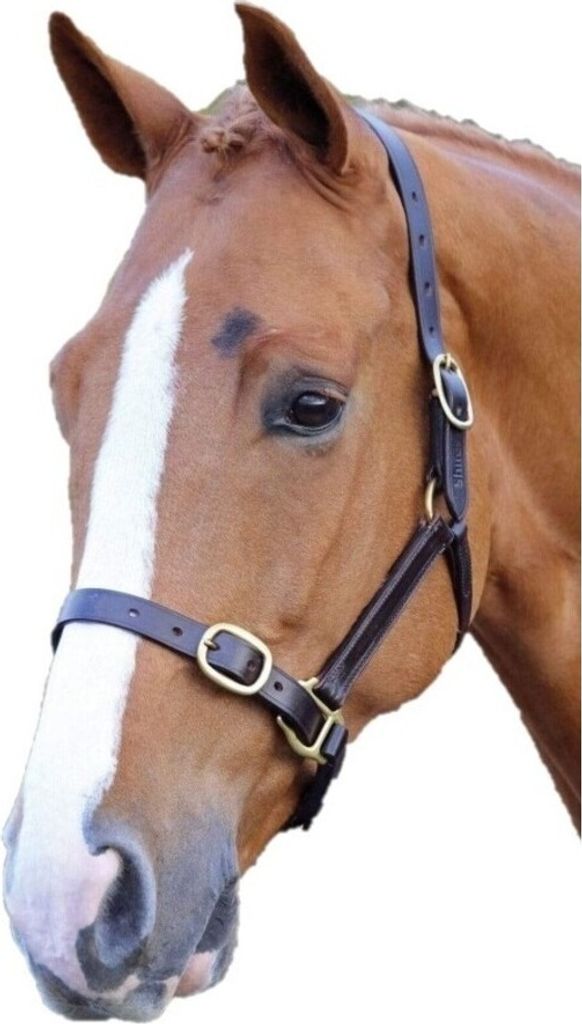Blenheim Leder Pferdehalfter Verstellbar ER759 (Yearling) (Havana)