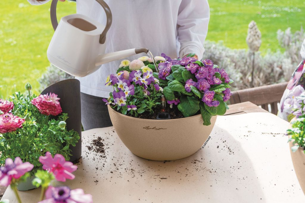 LECHUZA UNIPON Universalerde 40 Liter – Torffrei, Vorgedüngt Für 3 Monate, Für Balkon & Garten
