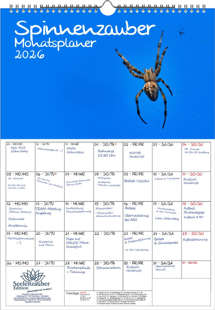 Spinnenzauber Planer DIN A3 Kalender für 2026 - Seelenzauber