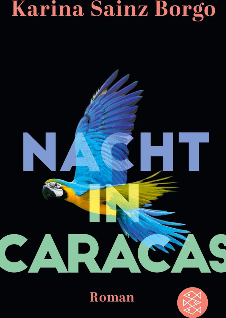 Nacht in Caracas