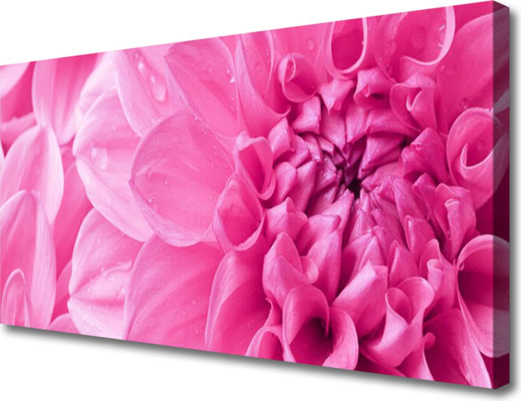 Tulup Leinwand-Bilder 100x50 Wandbild Canvas Kunstdruck Blumen Pflanzen