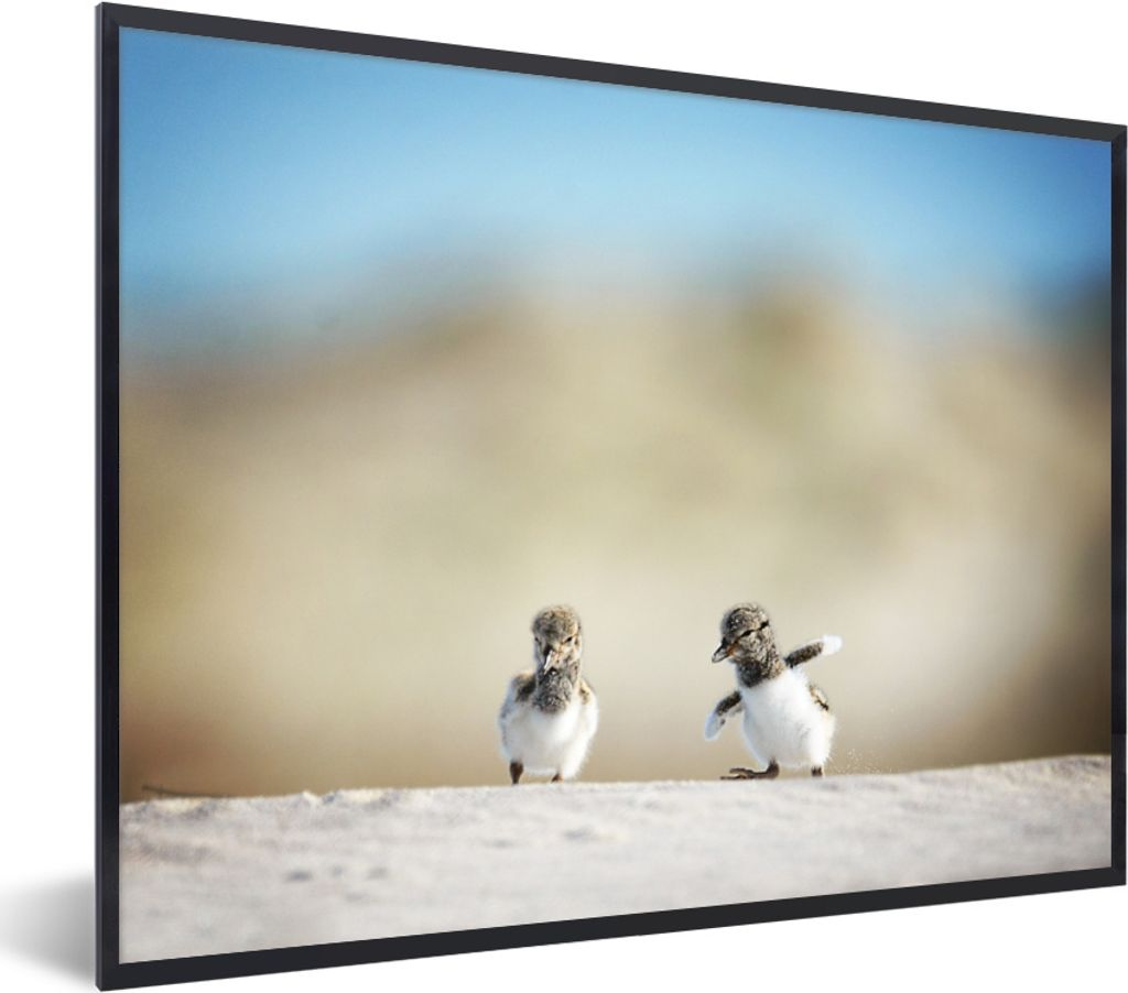 MuchoWow MuchoWow Gerahmtes Poster Junge - Sand - Vögel 40x30 cm - Poster mit zchwarzem Bilderrahmen - Kunstposter - Wanddekorationen