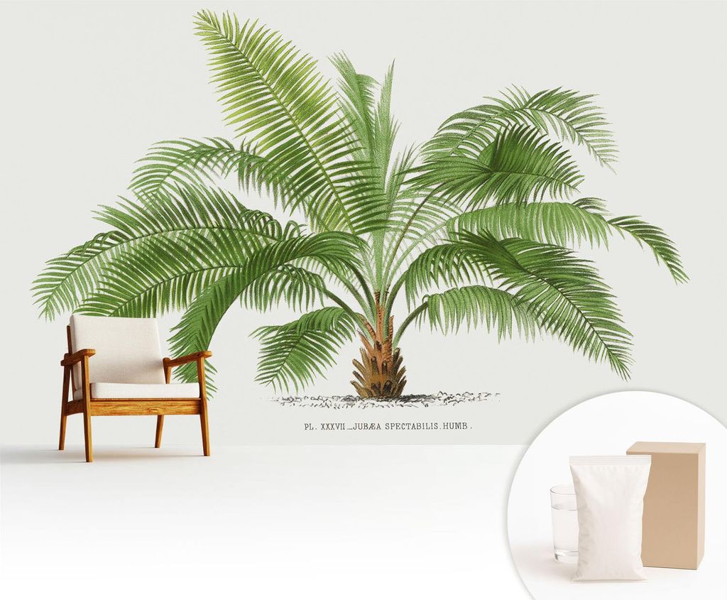 Fototapete - 416x254 cm - Tapete - Wandtapete - Wandbilder - Dekofolie - Tapete Folie - Wand - Dekoration - Wohnzimmer - Glänzende Palme