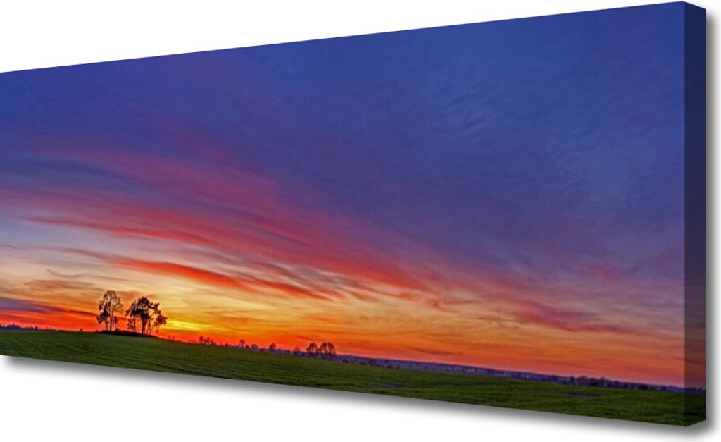 Tulup Leinwand-Bilder 125x50 Wandbild Canvas Kunstdruck Landschaft Feld Bäume Natur
