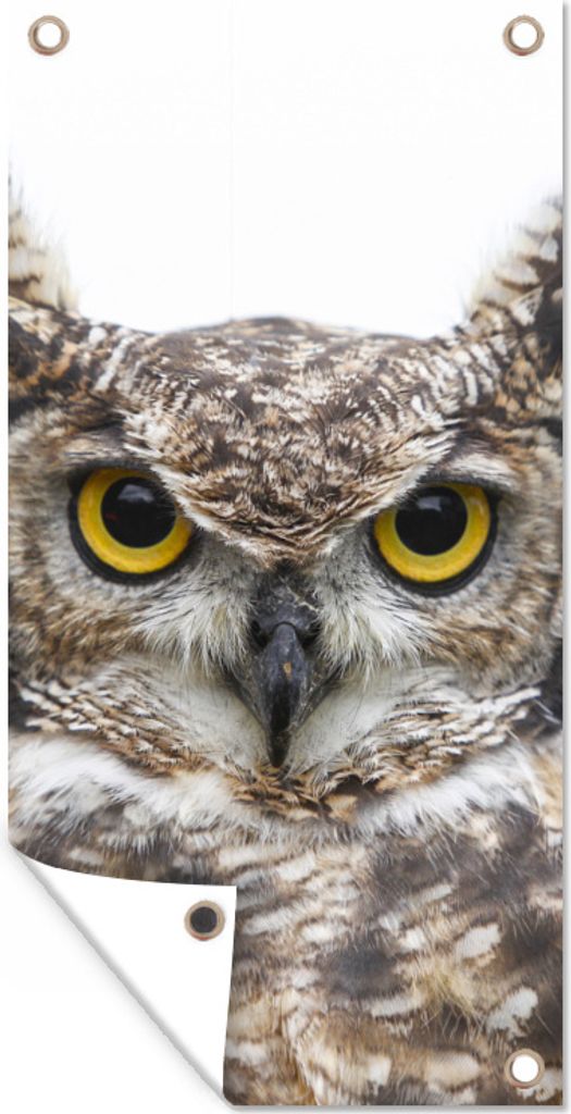 MuchoWow 40x80 cm Outdoor-Poster Gartendeko Sichtschutz Garten Poster für den Garten Porträt einer braunen Eule auf weißem Hintergrund